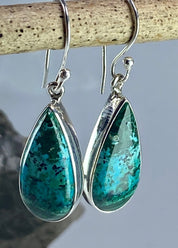 Natural Malachite in Chrysocolla Silver Earrings(UV770)
