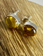 Baltic Amber Sterling Silver Stud Earrings(UV63)