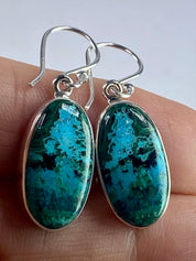 Natural Malachite in Chrysocolla Silver Earrings(UV768)