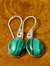 Natural Malachite and Silver Earrings(UV1648)