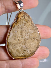 Petrified Wood Slice Pendant, Pear Cut 51mm x 40mm, Sterling Silver, Handmade UK gift
