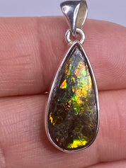 Ammolite Silver Pendant