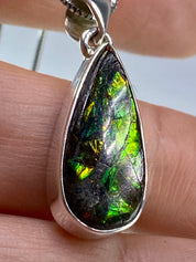 Ammolite Silver Pendant