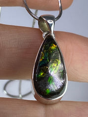 Ammolite Silver Pendant