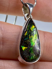 Ammolite Silver Pendant