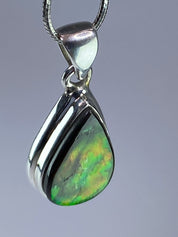 Ammolite Silver Pendant