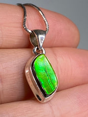 Ammolite Silver Pendant