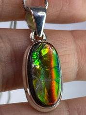 Ammolite Silver Pendant