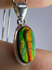 Ammolite Silver Pendant