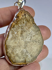 Petrified Wood slice Silver Pendant