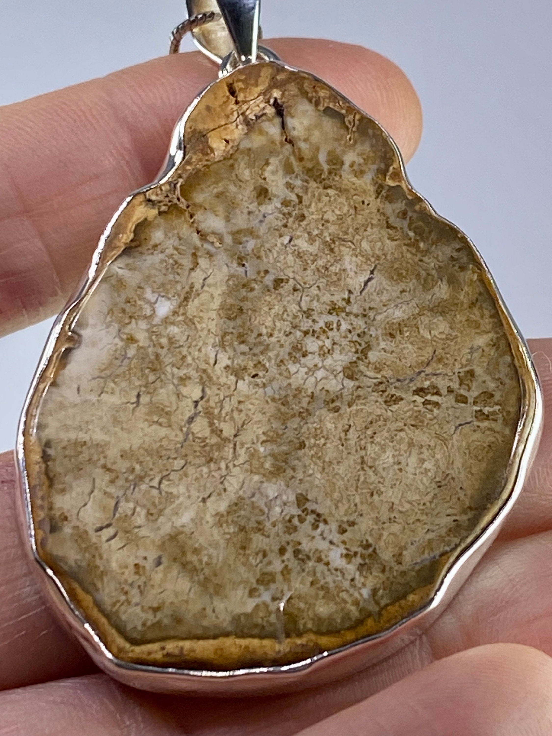 Petrified Wood slice Silver Pendant