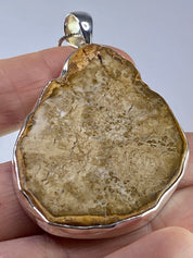 Petrified Wood slice Silver Pendant