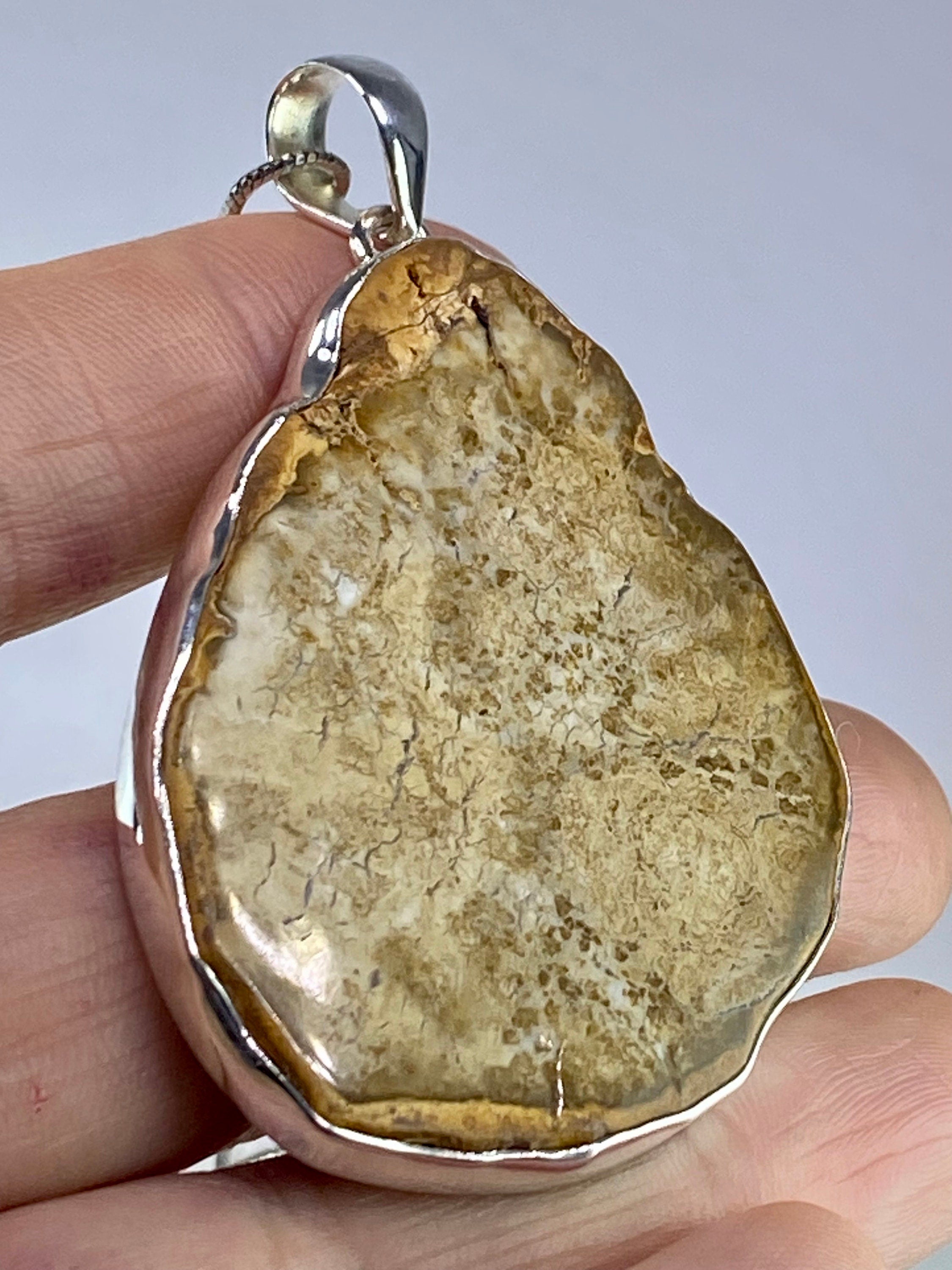 Petrified Wood slice Silver Pendant