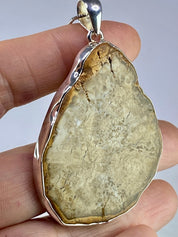 Petrified Wood slice Silver Pendant