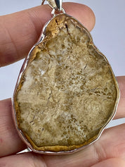 Petrified Wood slice Silver Pendant