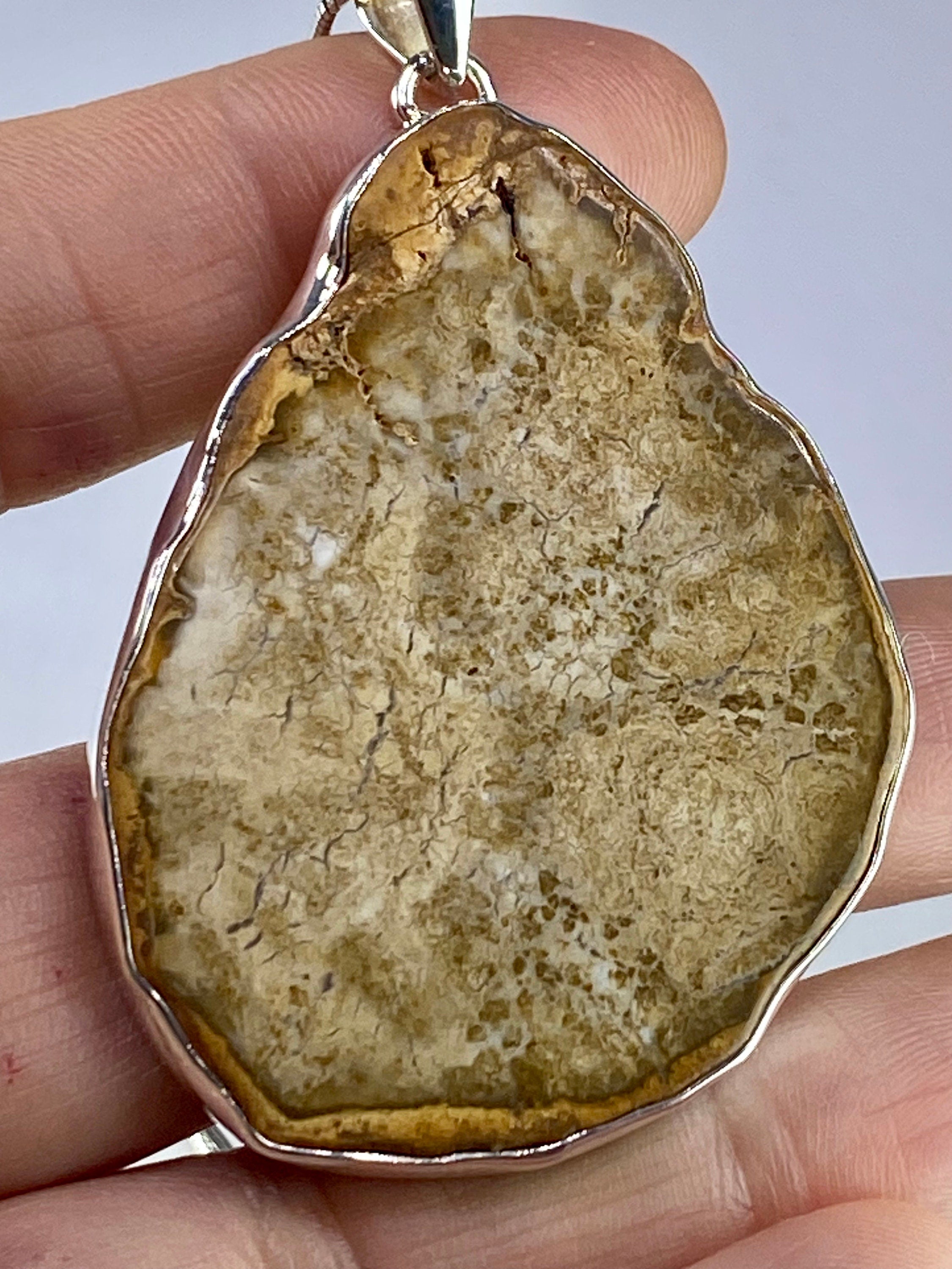 Petrified Wood slice Silver Pendant