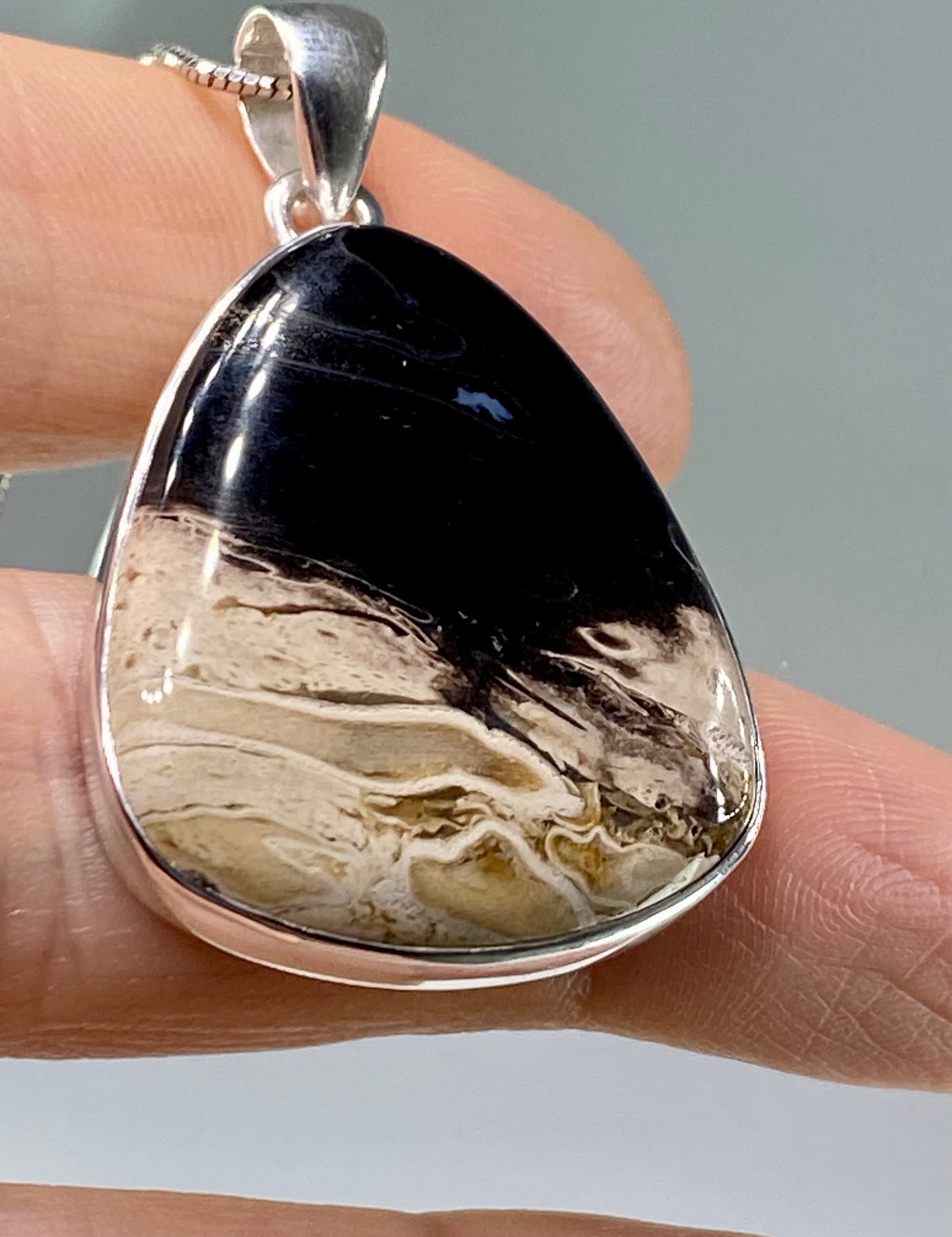 Petrified Palm Wood Silver Pendant