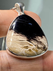 Petrified Palm Wood Silver Pendant