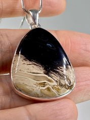 Petrified Palm Wood Silver Pendant