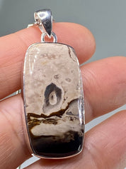 Petrified Palm Wood Silver Pendant