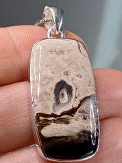 Petrified Palm Wood Silver Pendant