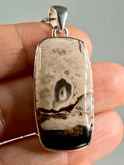 Petrified Palm Wood Silver Pendant