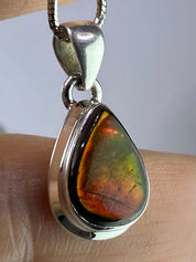 Ammolite Silver Pendant