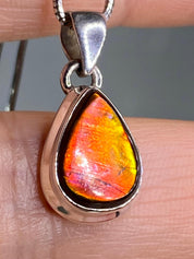 Ammolite Silver Pendant