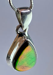 Ammolite Silver Pendant