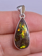 Ammolite Silver Pendant