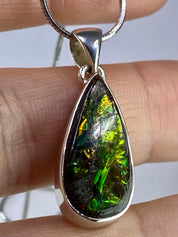 Ammolite Silver Pendant