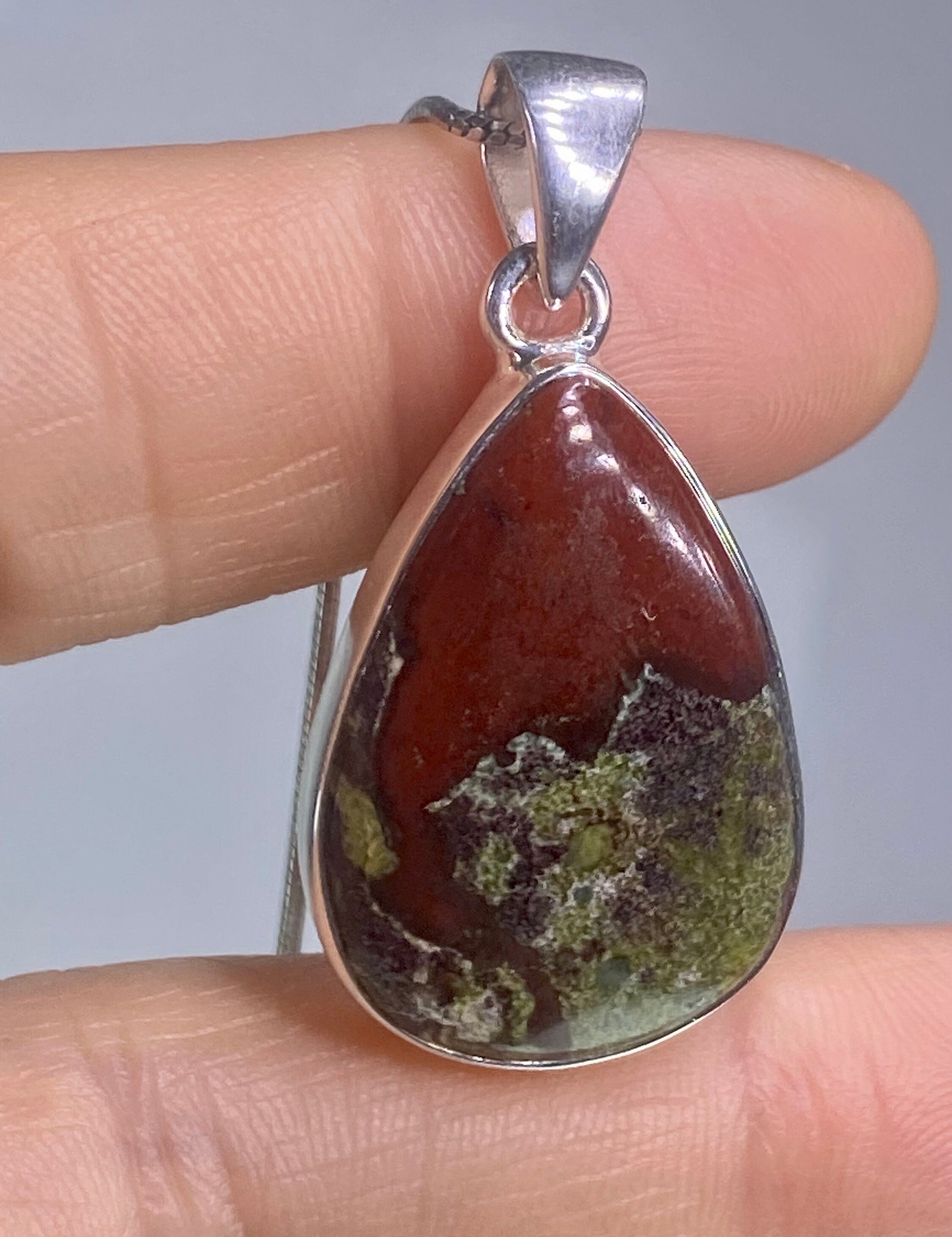 African Dragon Bloodstone and Silver Pendant