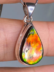 Ammolite Silver Pendant