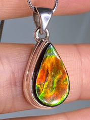 Ammolite Silver Pendant