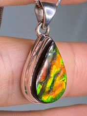 Ammolite Silver Pendant