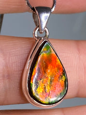 Ammolite Silver Pendant