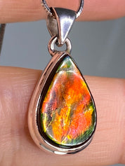 Ammolite Silver Pendant