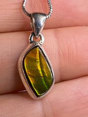 Ammolite Silver Pendant