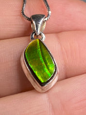 Ammolite Silver Pendant