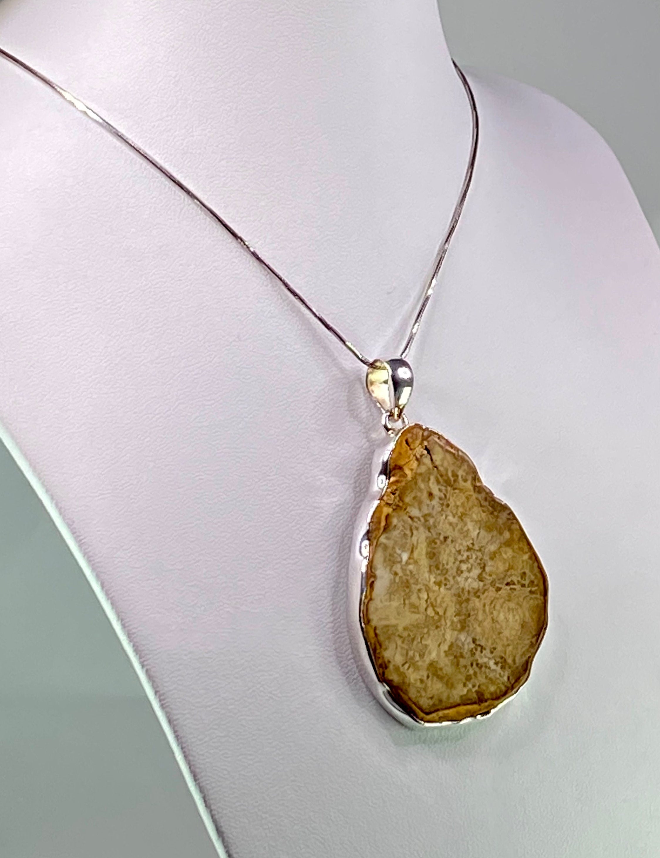 Petrified Wood slice Silver Pendant