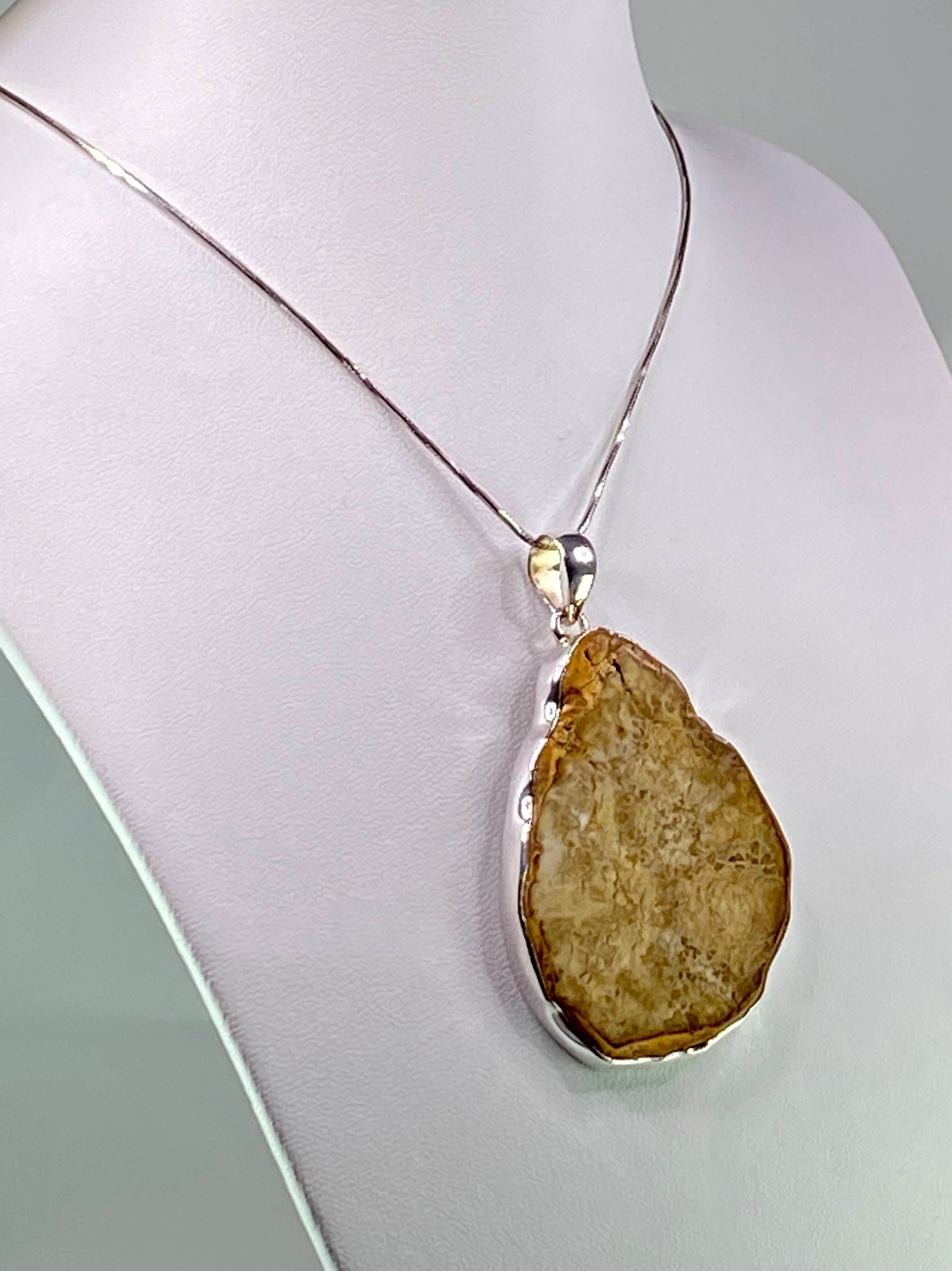 Petrified Wood slice Silver Pendant