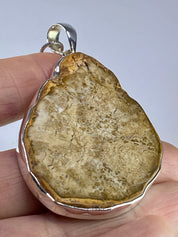 Petrified Wood slice Silver Pendant