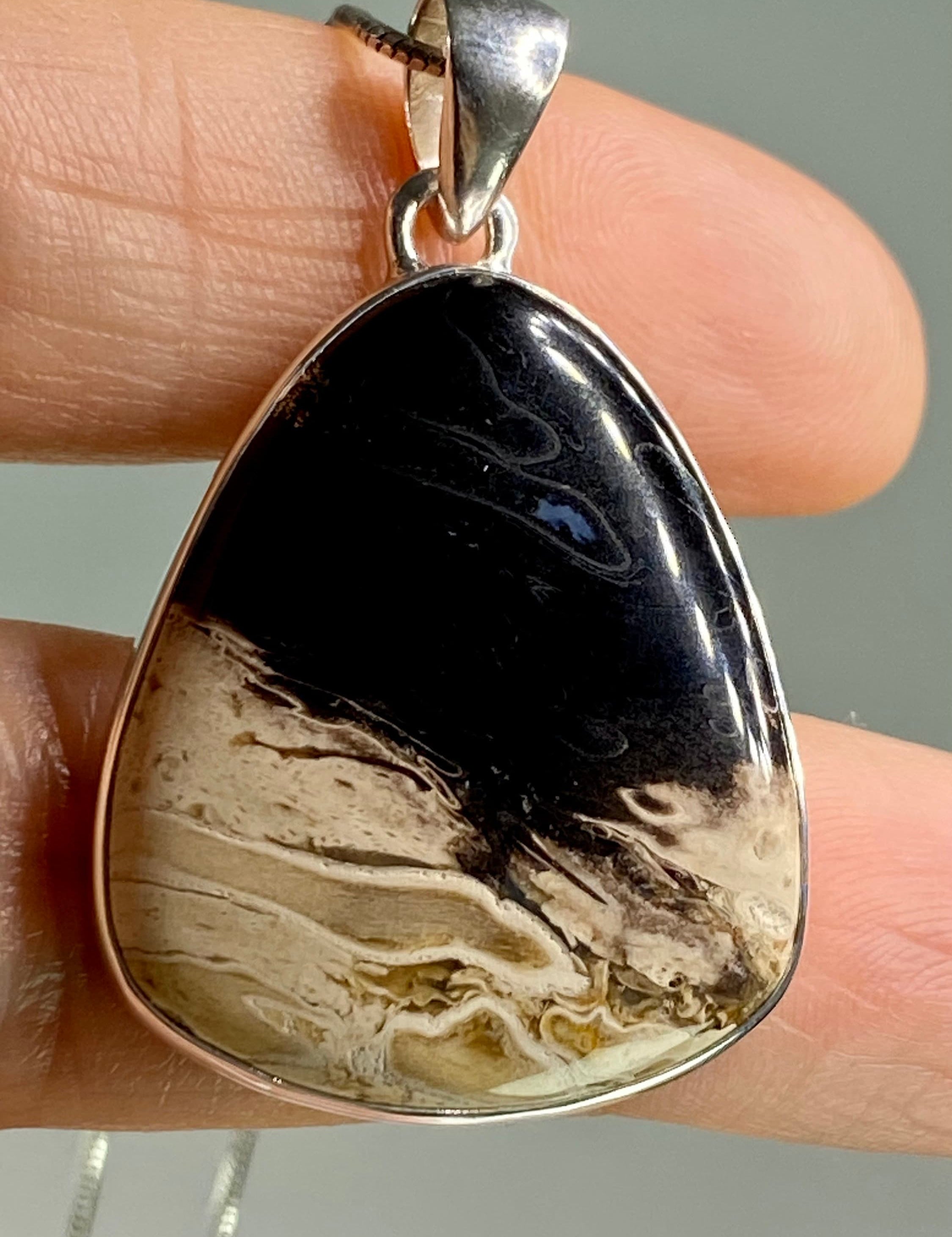 Petrified Palm Wood Silver Pendant