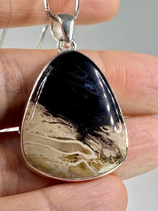 Petrified Palm Wood Silver Pendant