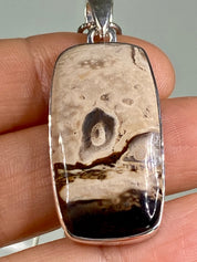 Petrified Palm Wood Sterling Silver Pendant