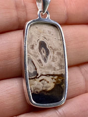 Petrified Palm Wood Silver Pendant