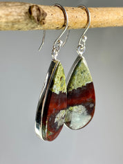 Natural Dragon Bloodstone and Silver Dangle Earrings