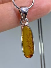 Baltic Amber Sterling Silver Pendant