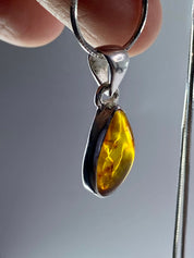 Baltic Amber Sterling Silver Pendant