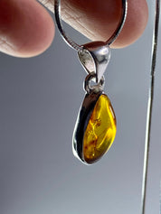 Baltic Amber Sterling Silver Pendant